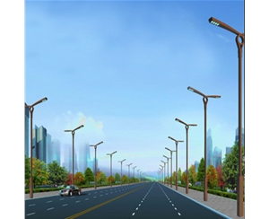 太陽(yáng)能路燈-LB-18