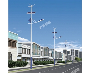 太陽(yáng)能路燈-LB-17