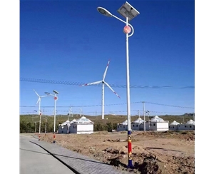 農(nóng)村太陽能路燈生產(chǎn)廠家